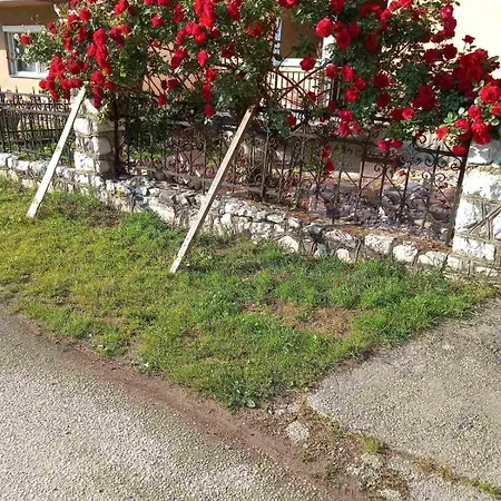 No Name Lägenhet Bajina Basta