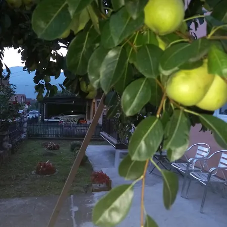 No Name Bajina Basta