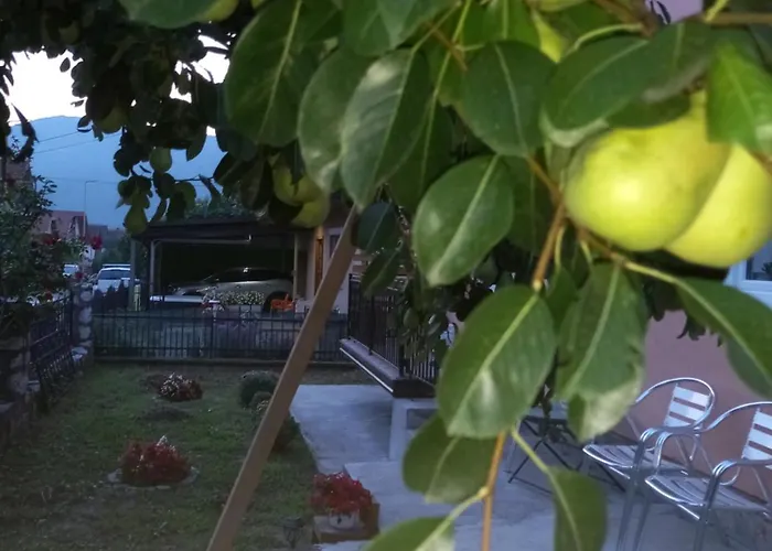 No Name Bajina Basta